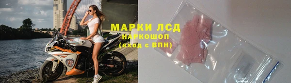 ГАЛЛЮЦИНОГЕННЫЕ ГРИБЫ Аркадак