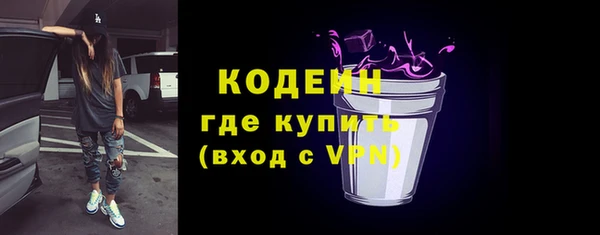 круглые Гусев