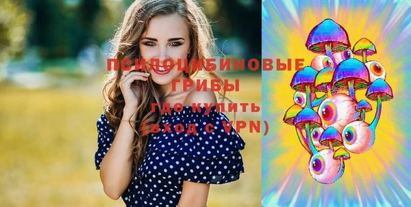 кокс Алексеевка