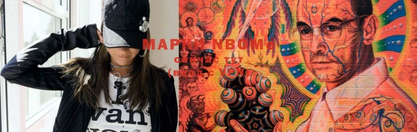 ГАЛЛЮЦИНОГЕННЫЕ ГРИБЫ Аркадак