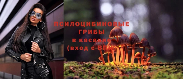 таблы Гусиноозёрск