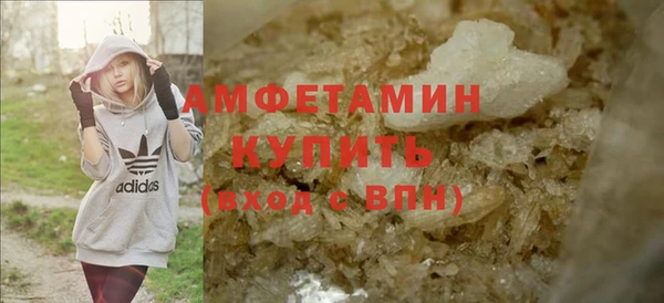 ГАЛЛЮЦИНОГЕННЫЕ ГРИБЫ Аркадак