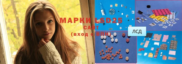 ГАЛЛЮЦИНОГЕННЫЕ ГРИБЫ Аркадак